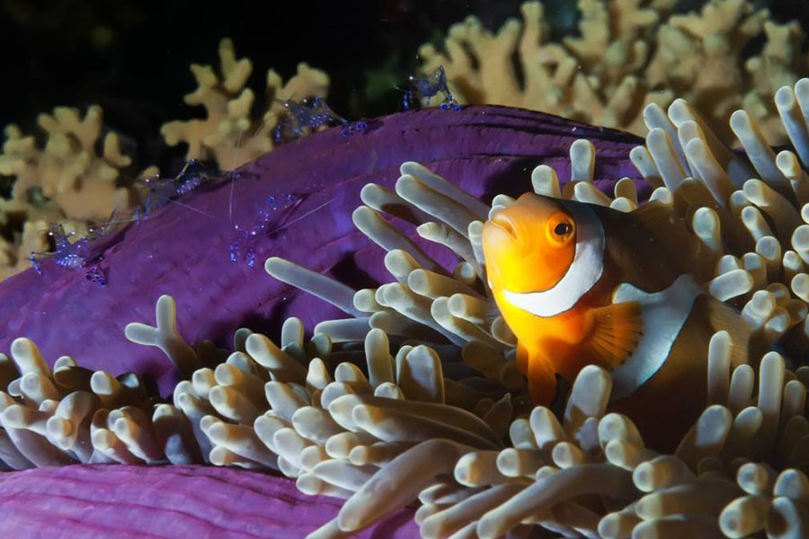 1590309865422755.jpg timg.jpg