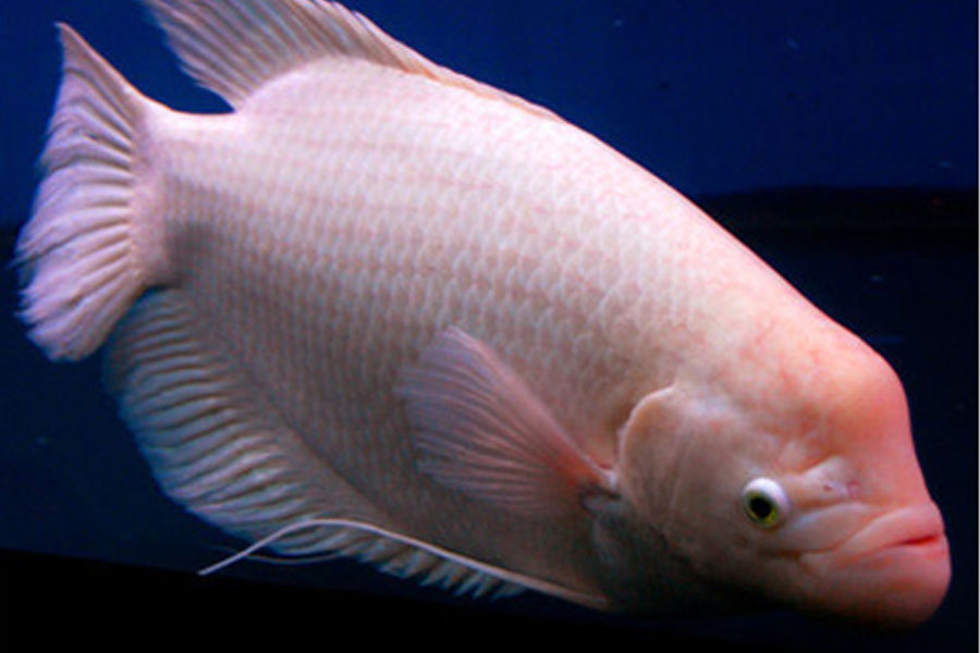 1590310040994117.jpg 未标题-1.jpg