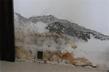 1693619900545432.jpg 微信截图_20230205143320.jpg