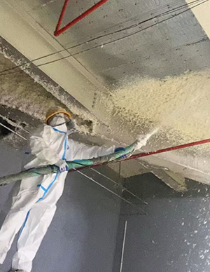 1764819905769014.jpg 6666.jpg