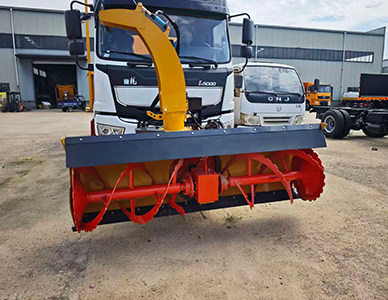 1769501000673147.jpg 31.jpg