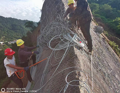 1775814255764884.jpg 新闻1.jpg